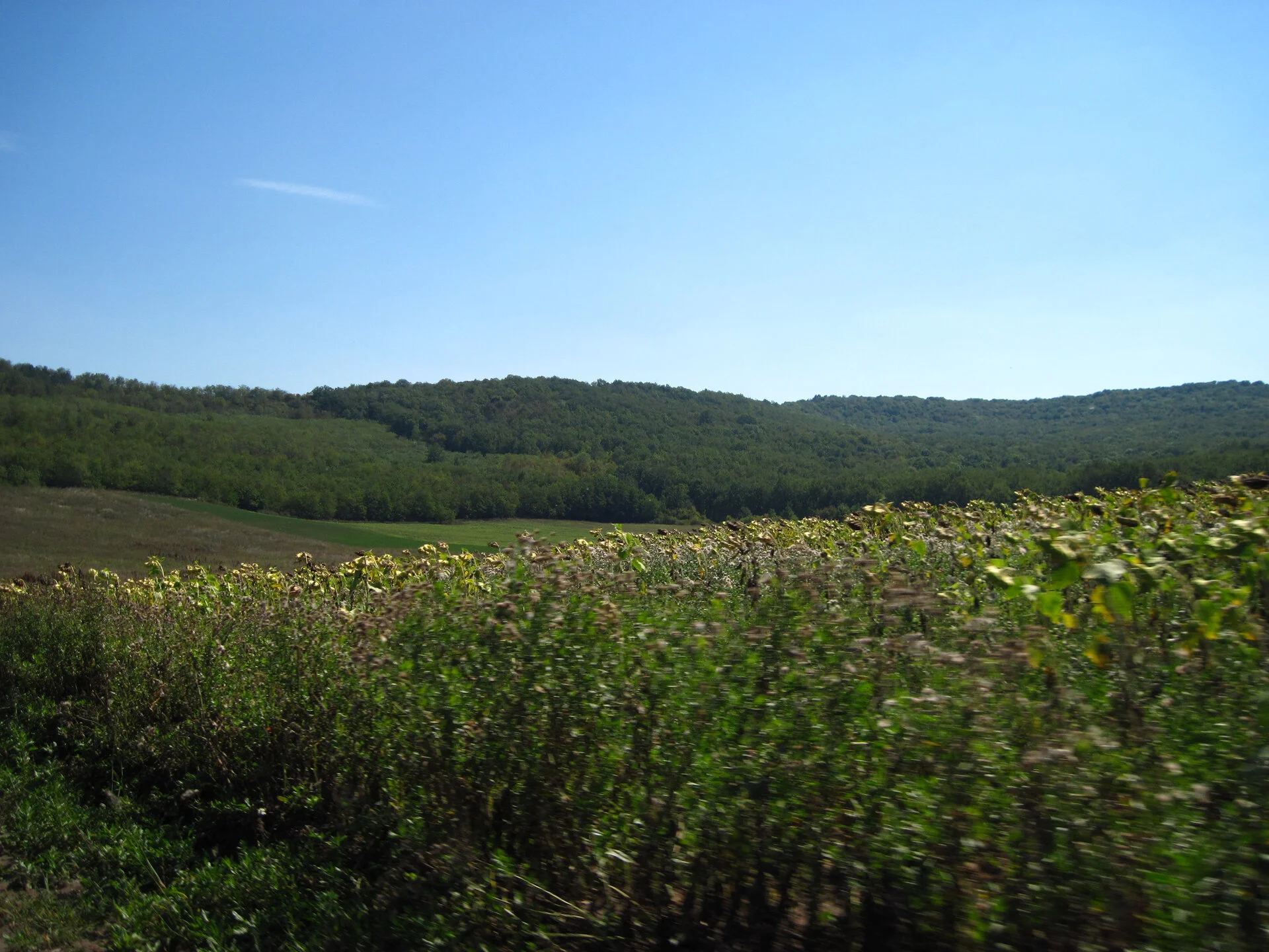 Illinois HVAC Locator - Professional HVAC Services